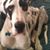 Krista Graf Furman's profile image
