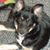 Courtney Leifert's profile image