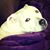 Kelly LeMere's profile image