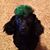Stephanie Hilburn Burnside's profile image