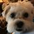 Deb Puckett Wilson's profile image