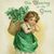 Dianne Matthews Alborn's profile image