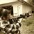 Cathy Bishop's profile image