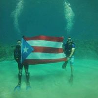 Diana Bajandas's profile image