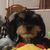 Trisha Vasquez's profile image