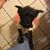 Lucy Betterton's profile image