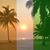 Florence Harati's profile image