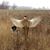 Chris L. Garton's profile image