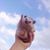 Crystal Maguy's profile image