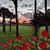 Marge Hohman's profile image