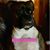 Lee Lee Griffin Laborde's profile image
