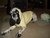 Lisa G.'s profile image