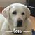 Lois Babey-Finn's profile image