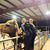Sara Clifton Debish's profile image