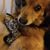 Sandy Hurley's profile image