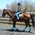 Chelsie Sullivan's profile image
