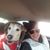 Nikki Schmaling Storm's profile image