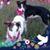 Alishia Parker's profile image