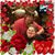 Lili Jamie Anderson- Monhart's profile image