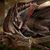 Susan Daigle's profile image