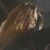 Matilda Moon's profile image