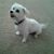 Nettie Hiller's profile image