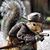 Kathy Kingsbury's profile image