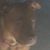 Wendy Weeks's profile image