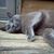 Austin Sawyer Hester's profile image