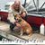 Tina Hamel's profile image