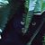 Kathy Gill Fizette's profile image