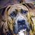 Debbie Haight-Oregon's profile image
