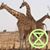 Kevin Charles Patterson's profile image