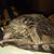 Ashley Kleinpeter Ford's profile image