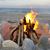Vladimir Arventiev's profile image