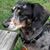 Bernie Neuhaus's profile image