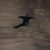 Brian Scott Shirey's profile image