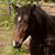 Beth Bertini's profile image