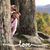 Linda McCain Bounds's profile image
