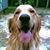 Candace Gresham Duncan's profile image