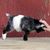 Keith Brosius's profile image