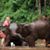 Nancy Purdin's profile image