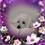 Dawn Tomcsik Quinn's profile image