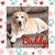 Missy Ramey Ervin's profile image