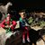 Kristen Fifer's profile image