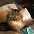Mary Leyk's profile image