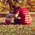 Brandon Shutt's profile image