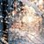 Jo Diffenderfer's profile image