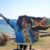 Thomas P. Koop's profile image