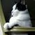 Lainy Vincent's profile image
